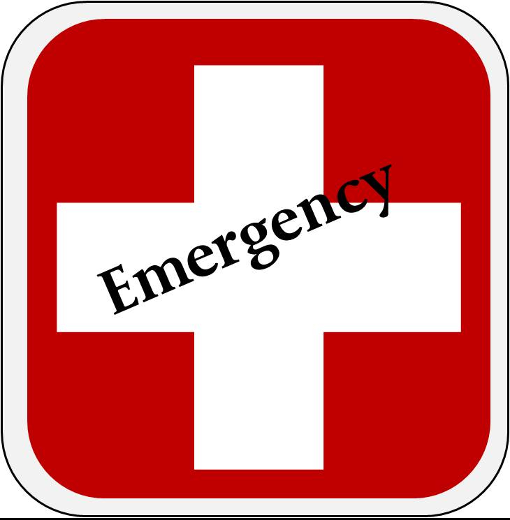 Symbol used to visually indicate emergency medical information and resources for quick access on the Firenze Moms 4 Moms Emergency page.