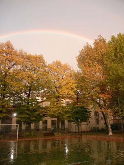 5-nidiaci-arcobaleno